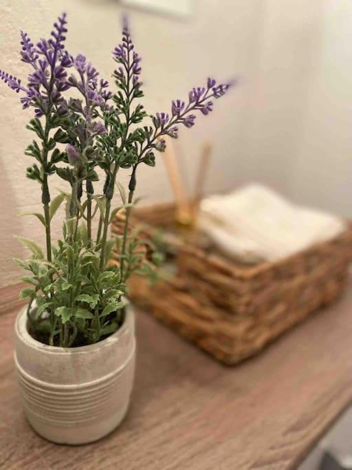 Zentrale Wohnung Gmunden Alte Baeckerei Экстерьер фото