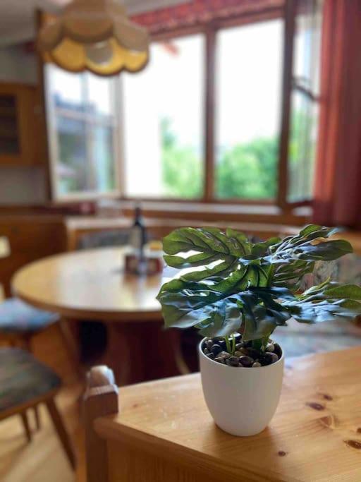 Zentrale Wohnung Gmunden Alte Baeckerei Экстерьер фото